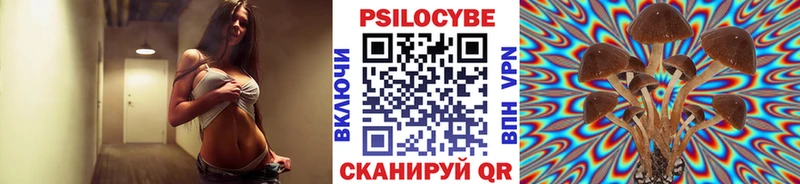 купить  цена  Новошахтинск  Псилоцибиновые грибы Psilocybine cubensis 